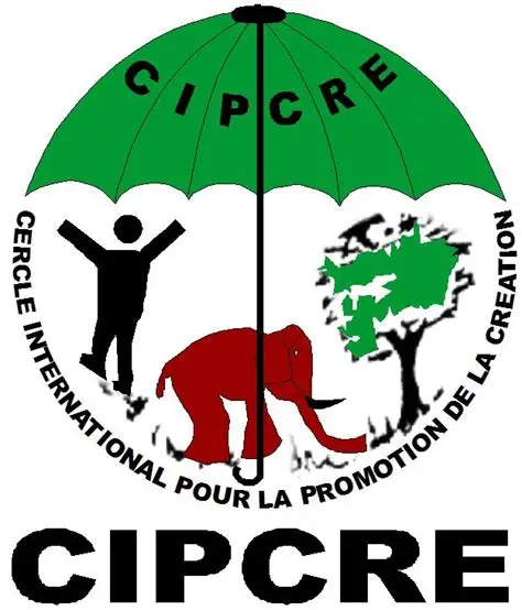Partenaire 5
